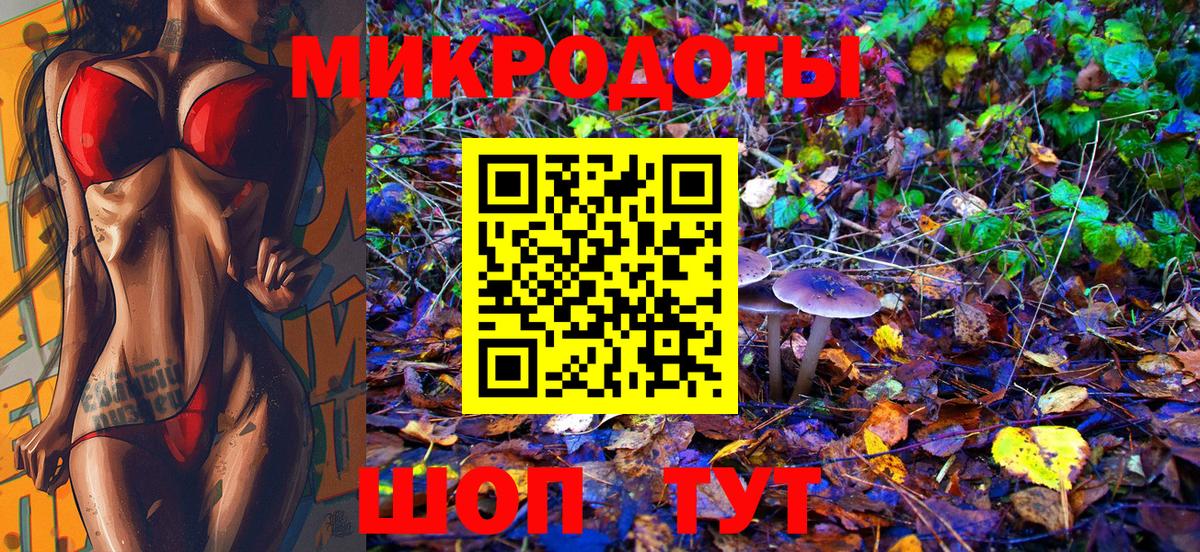 Димитровград  Псилоцибиновые грибы Magic Shrooms  магазин  наркотиков  Вход с VPN 